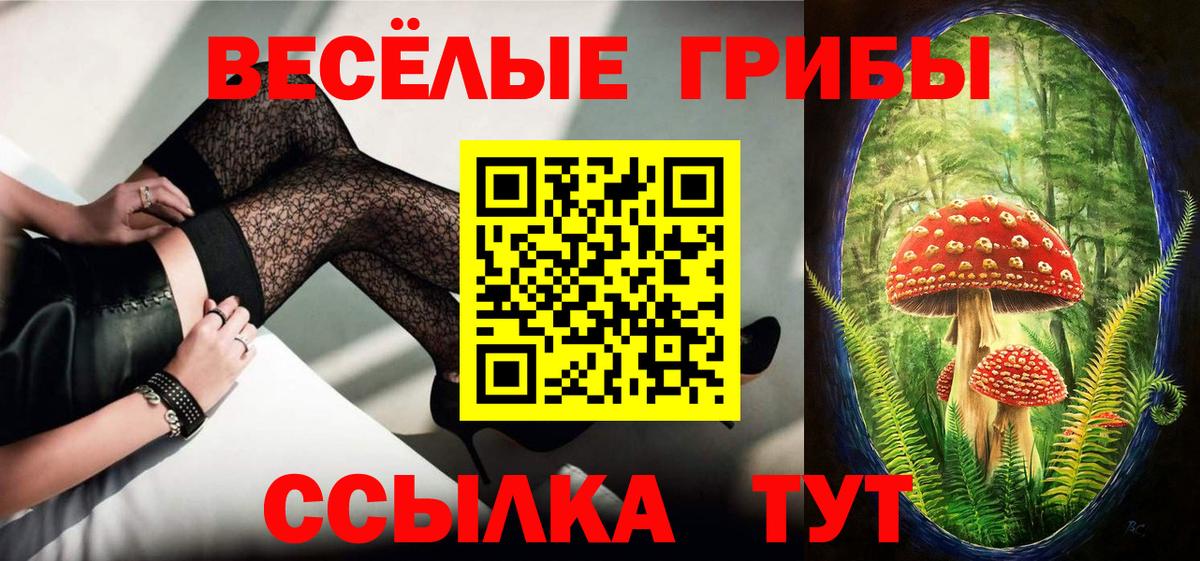 Псилоцибиновые грибы ЛСД  Псилоцибиновые грибы Cubensis  Отрадное  Вход с VPN 
